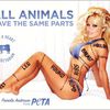 "Sexist" PETA Ad Banned